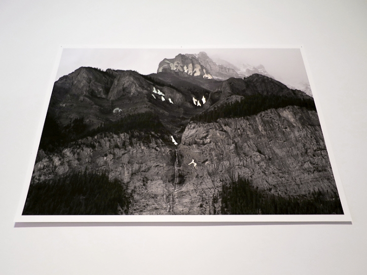 http://bardary.mirunadragan.com/files/gimgs/th-12_GGallery_Mountain_web.jpg