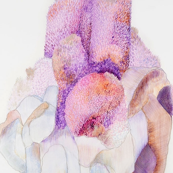 https://bardary.mirunadragan.com/files/gimgs/th-23_Erratics-Draw3-detail-web_v2.jpg